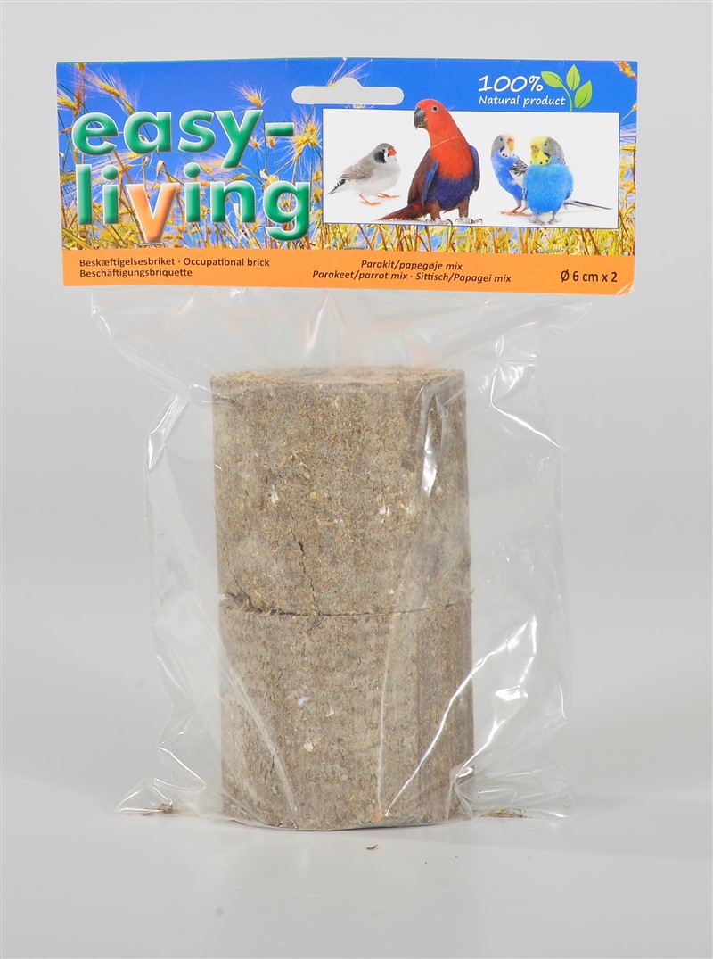 easy-living occupational brick with parakeet/parrot mix